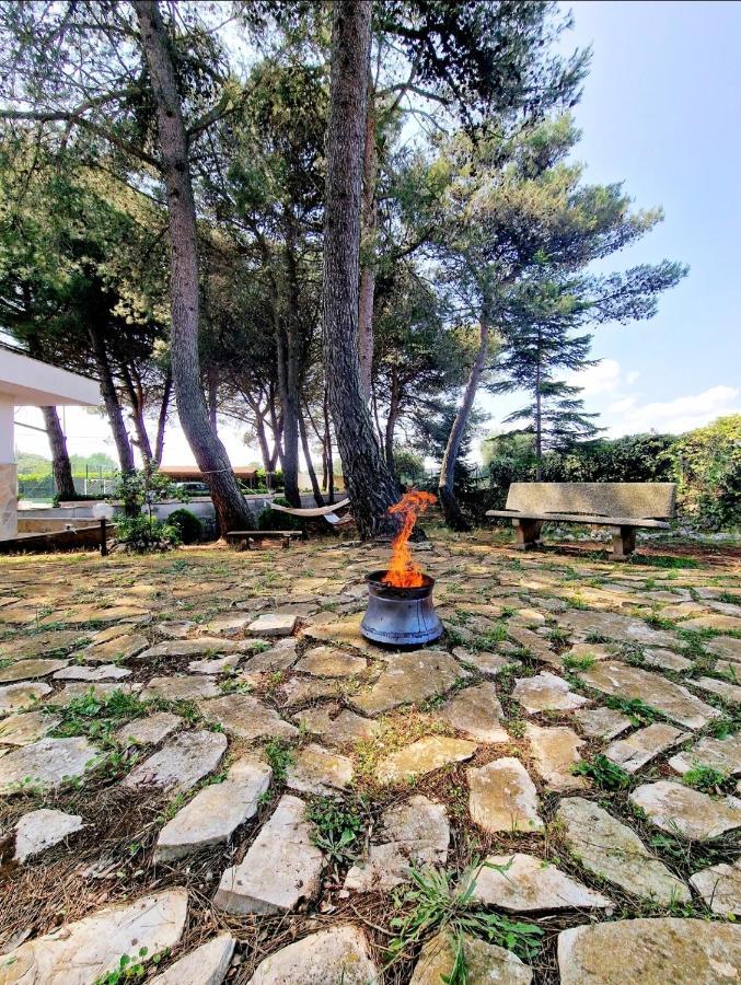 Villa Elisa Trulliandmore - Pool And Tennis Court Martina Franca Exterior foto