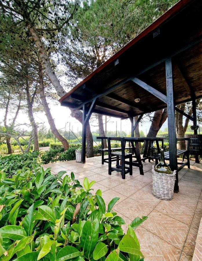 Villa Elisa Trulliandmore - Pool And Tennis Court Martina Franca Exterior foto