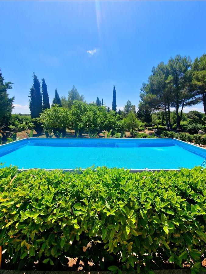 Villa Elisa Trulliandmore - Pool And Tennis Court Martina Franca Exterior foto